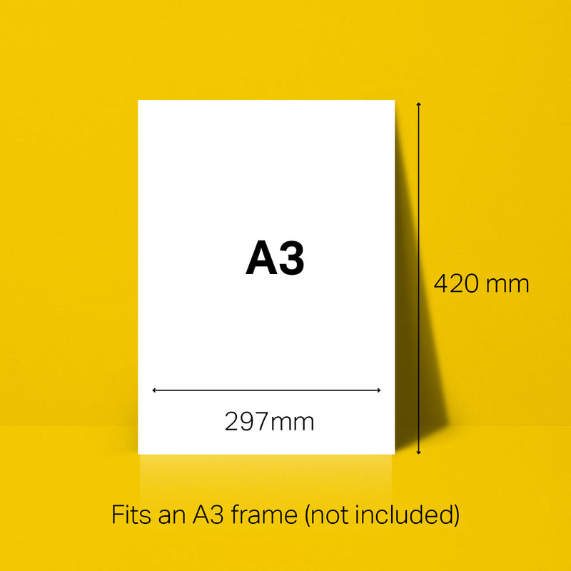a3 dimensions 420mm x 297mm